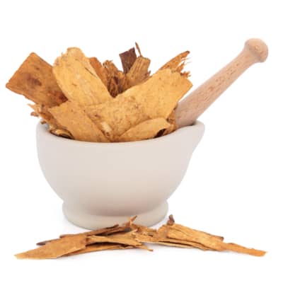 astragalus root
