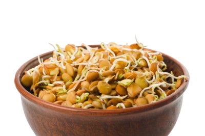 lentil sprouts