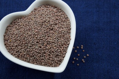 Pardina lentils