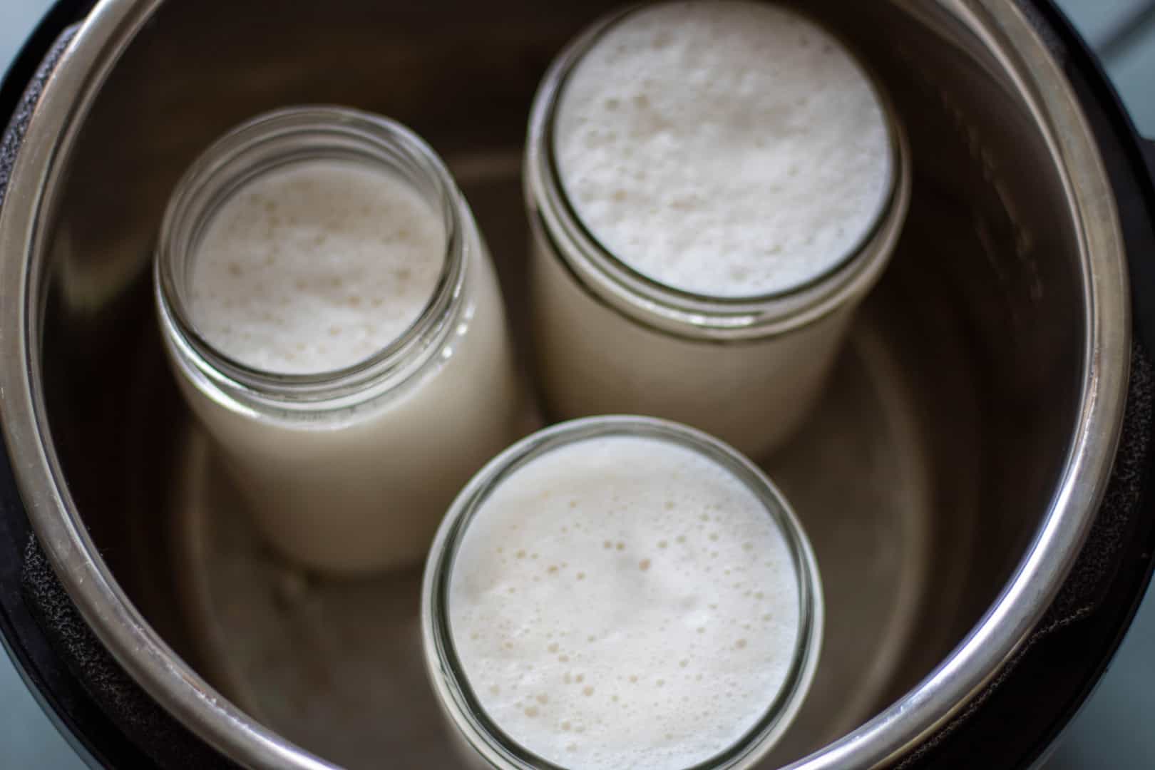 vegan yogurt in Instant Pot